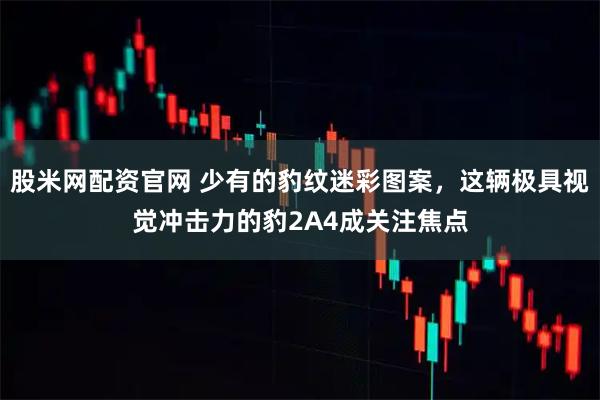股米网配资官网 少有的豹纹迷彩图案，这辆极具视觉冲击力的豹2A4成关注焦点