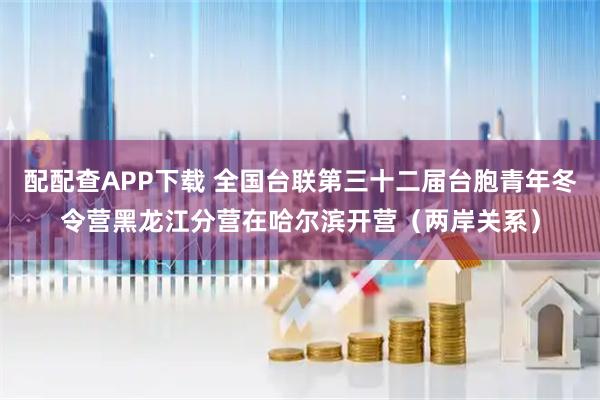 配配查APP下载 全国台联第三十二届台胞青年冬令营黑龙江分营在哈尔滨开营（两岸关系）